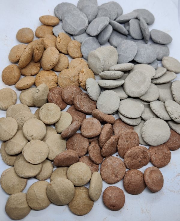 Assorted Clay Coins